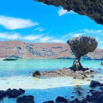 Descubre Cómo Llegar a la Mágica Isla Espíritu Santo en Baja California