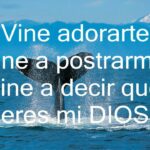 Descubre Cómo Tocar Santo Espíritu Ven de Christine D'Clario con Acordes Claros y Sencillos