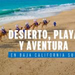Descubre la Fascinante Experiencia de Tour a la Isla Espíritu Santo con Cabo Adventures