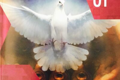 el espiritu santo le dice a pablo que no fuera una vision comprensiva de los eventos y su impacto