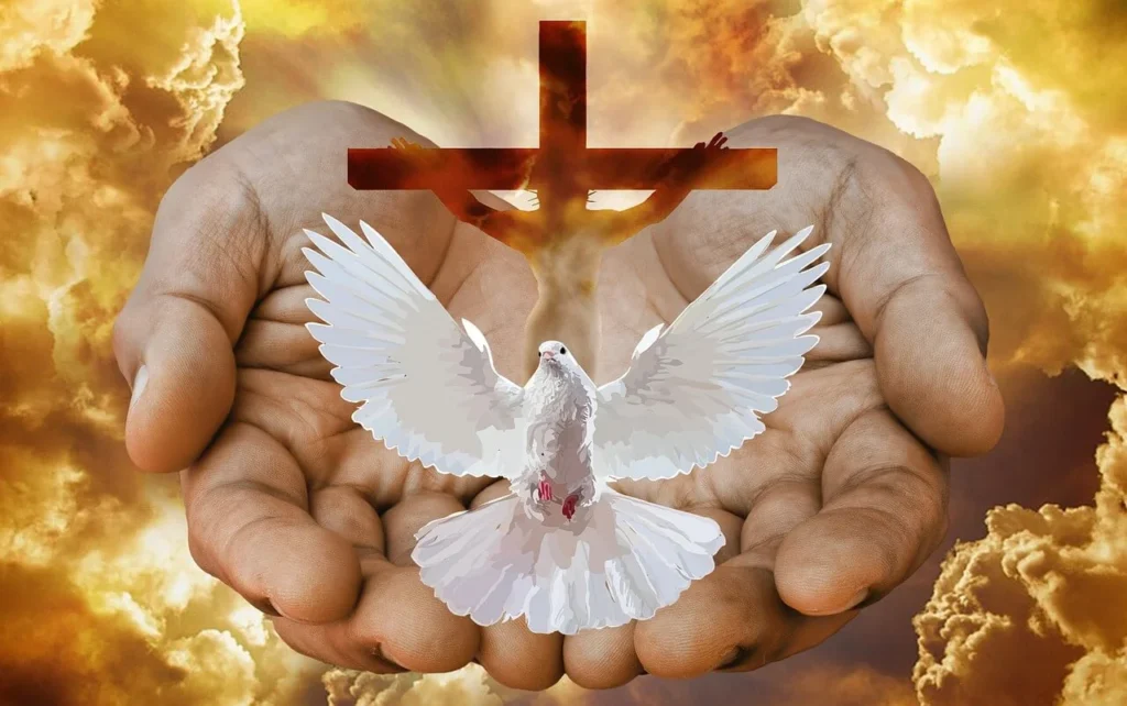 el espiritu santo nos da conocimiento del pecado y como nos transforma