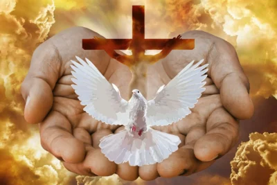 el espiritu santo nos da conocimiento del pecado y como nos transforma