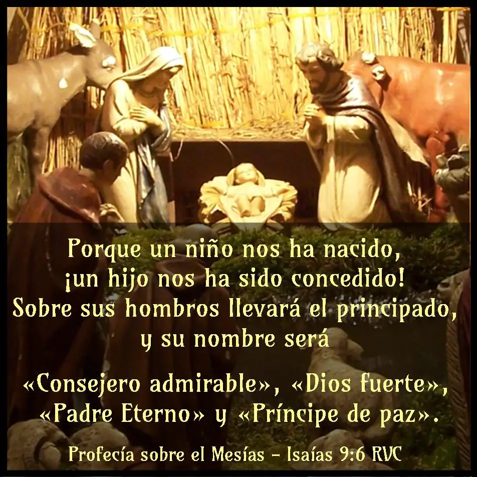 el nacimiento de jesus en la biblia 15 versiculos para navidad