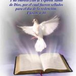 Entender y No Contristar al Espíritu Santo de Dios