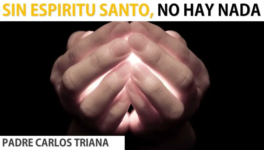 padre luis toro ensena como conocer al espiritu santo de manera autentica 1