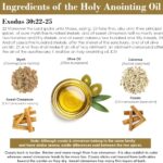 Biblia y Aromaterapia: ¿Qué dice la Escritura?