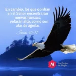 Biblia y el Águila: Significado y Simbolismo