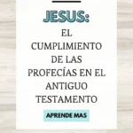 Jesús: ¿Cumplió la Profecía de Mateo 8:17?