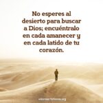 ¿Nos busca Dios? - Reflexiones sobre la búsqueda divina