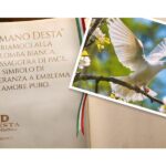 Paloma, Símbolo Espíritu Santo: Origen e Interpretación
