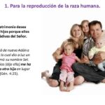 Procreación según la Biblia: ¿Cuál es su Importancia?