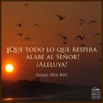 ¿Qué dice la Biblia sobre la Música? Análisis y Versículos