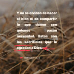 ¿Describe la Biblia la Adoración a Jesús?