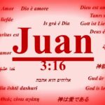 ¿Qué significa Juan 3:16? - Explicación y Significado