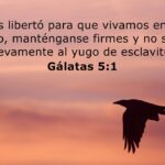 10 Versículos Bíblicos que Hablan de Liberación y Esperanza