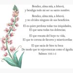 Bendice, Alma Mía, a Jehová: Una Guía para Comprender el Salmo