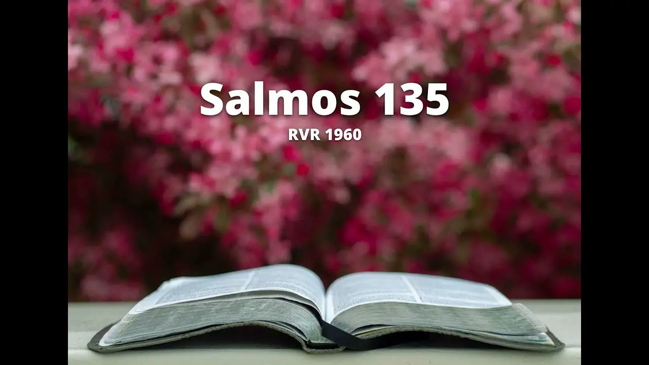 Descubre el Poder de los Salmos en la Biblia Reina Valera
