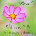 Imágenes Bonitas con Textos Bíblicos: Inspiración y Reflexión Diaria