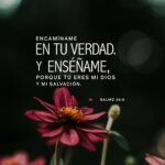 Los Mejores Salmos para Dar la Bienvenida: Guía Completa