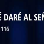 ¿Qué Daré al Señor? Reflexiones sobre los Salmos