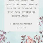 Textos Bíblicos para Expresar Agradecimiento a una Persona