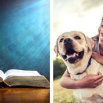 Textos Bíblicos que Nos Enseñan a Amar a los Animales