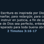Versículos Bíblicos: Guía para Comprender la Palabra de Dios