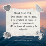 Versículos Bíblicos: Guía para Encontrar Consuelo y Esperanza