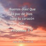 Versículos Bíblicos para la Oración Matutina: Conectando con Dios al Amanecer