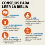 Versículos Católicos: Guía para comprender y aplicar las Sagradas Escrituras